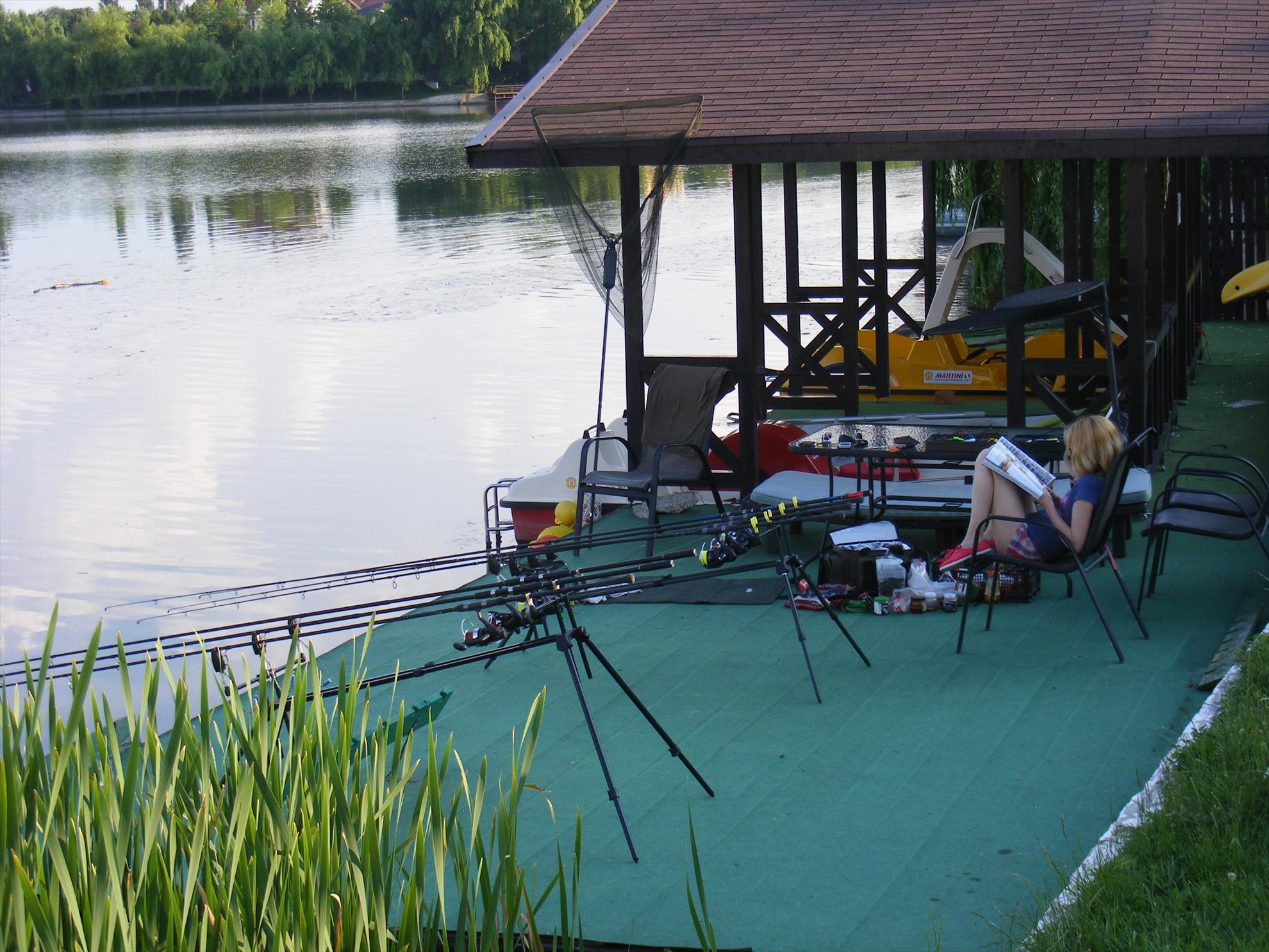 Balotesti iunie-2014 - dscf1051.JPG